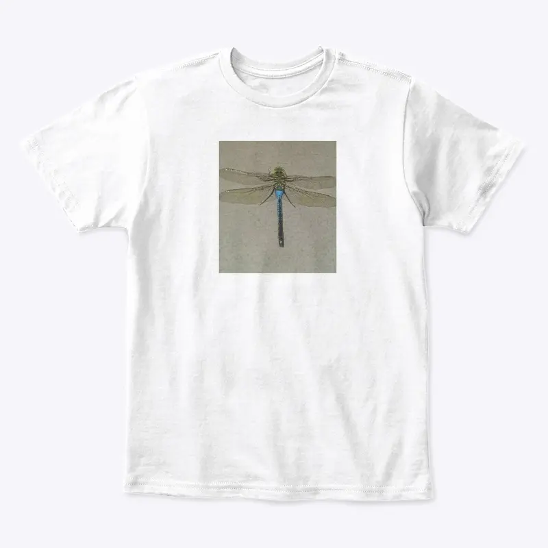 Dragonfly Flyy