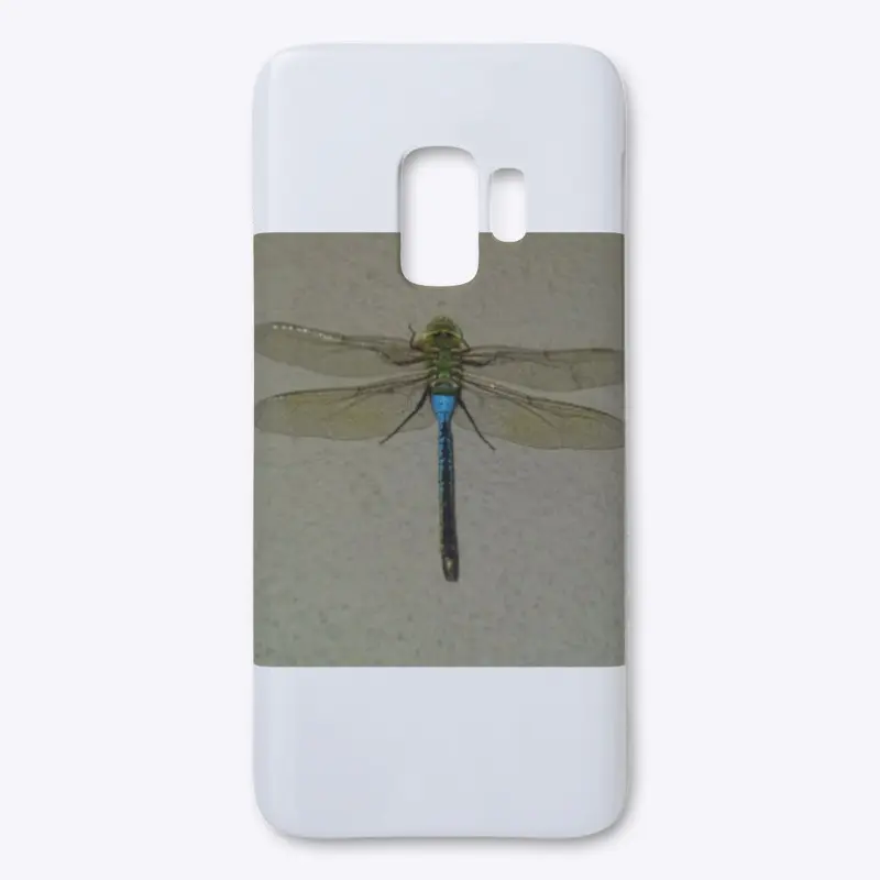 Dragonfly Flyy