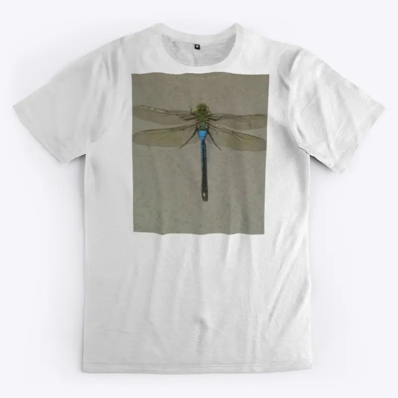 Dragonfly Flyy