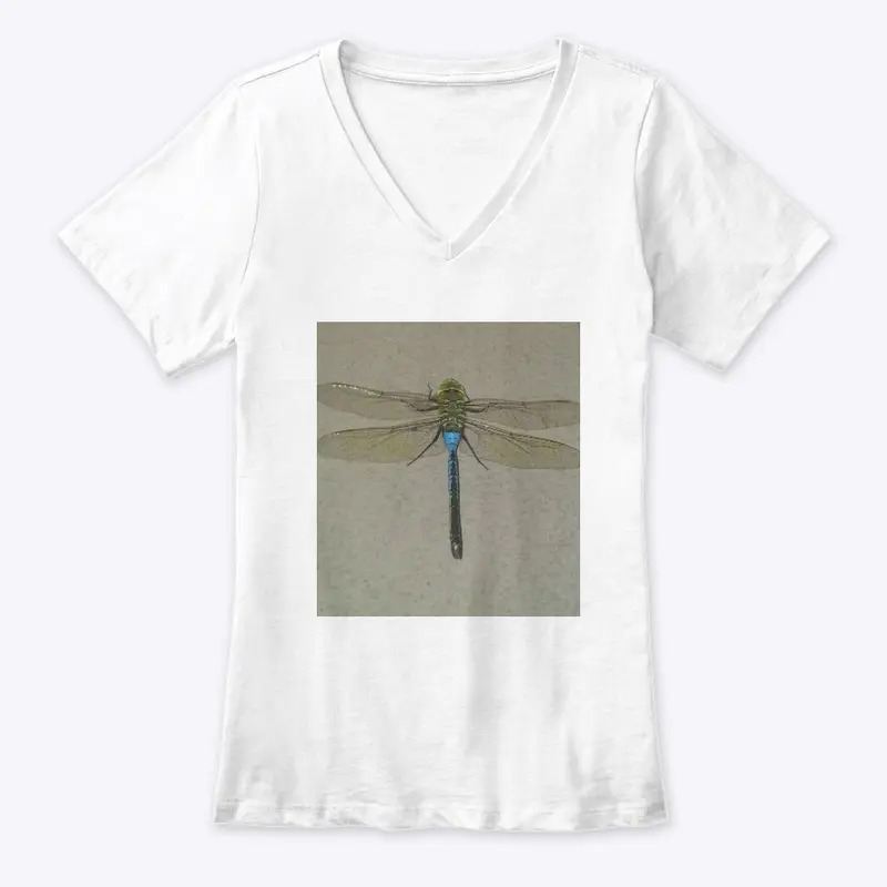 Dragonfly Flyy