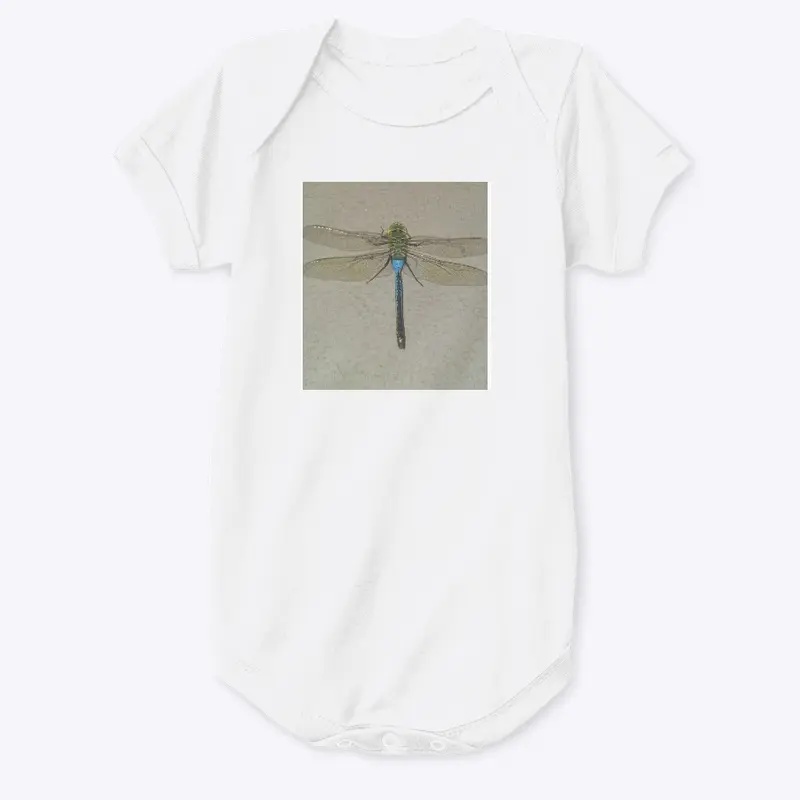 Dragonfly Flyy