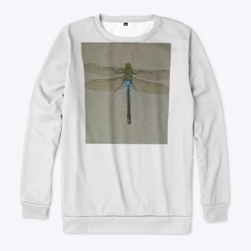 Dragonfly Flyy