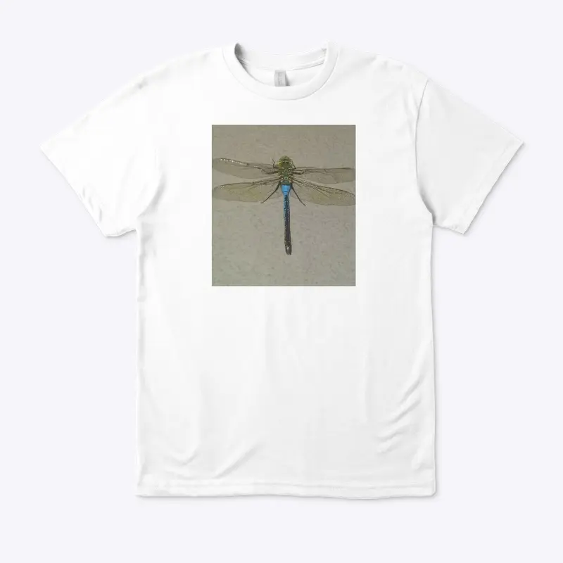 Dragonfly Flyy