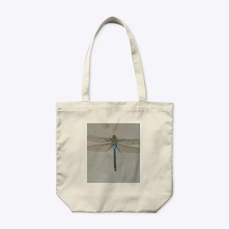 Dragonfly Flyy