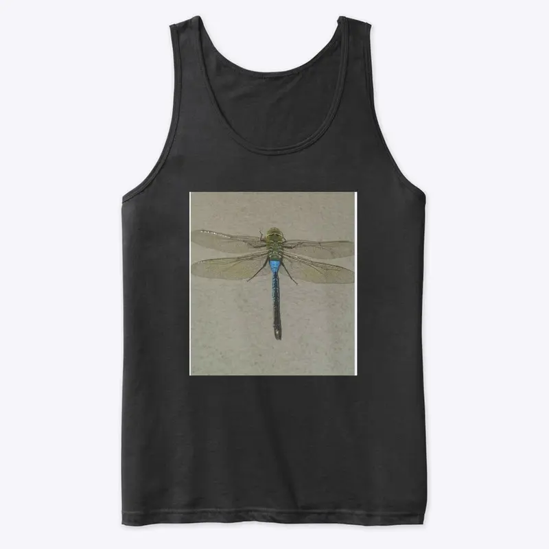 Dragonfly Flyy