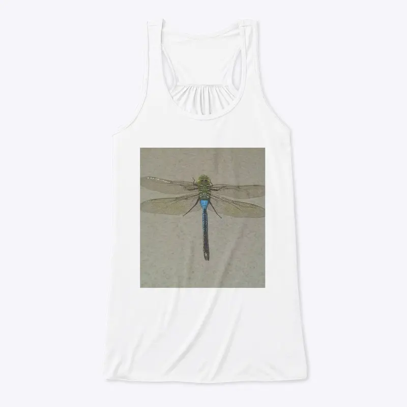 Dragonfly Flyy