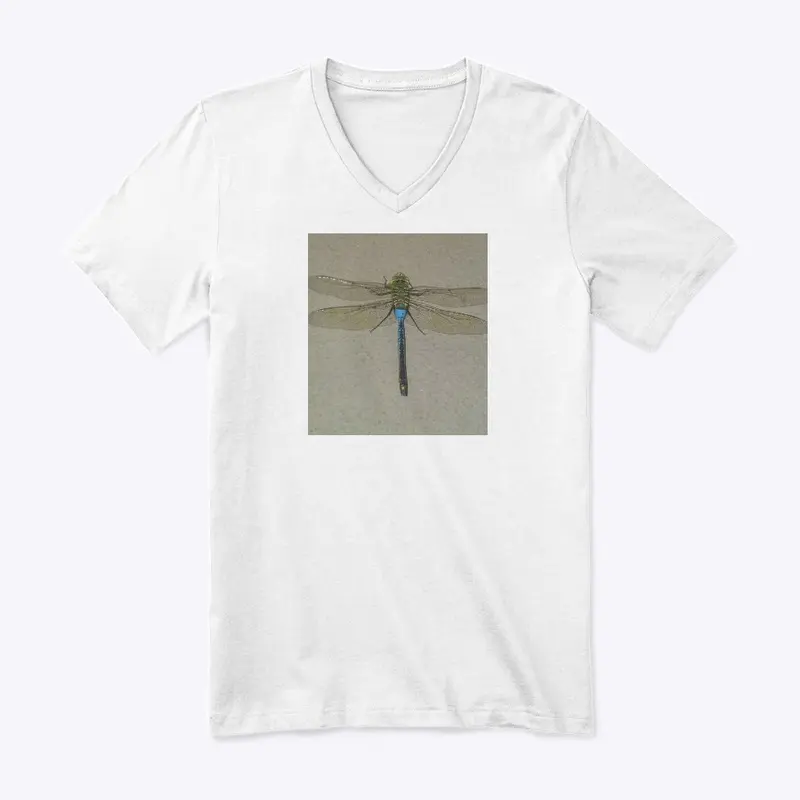 Dragonfly Flyy