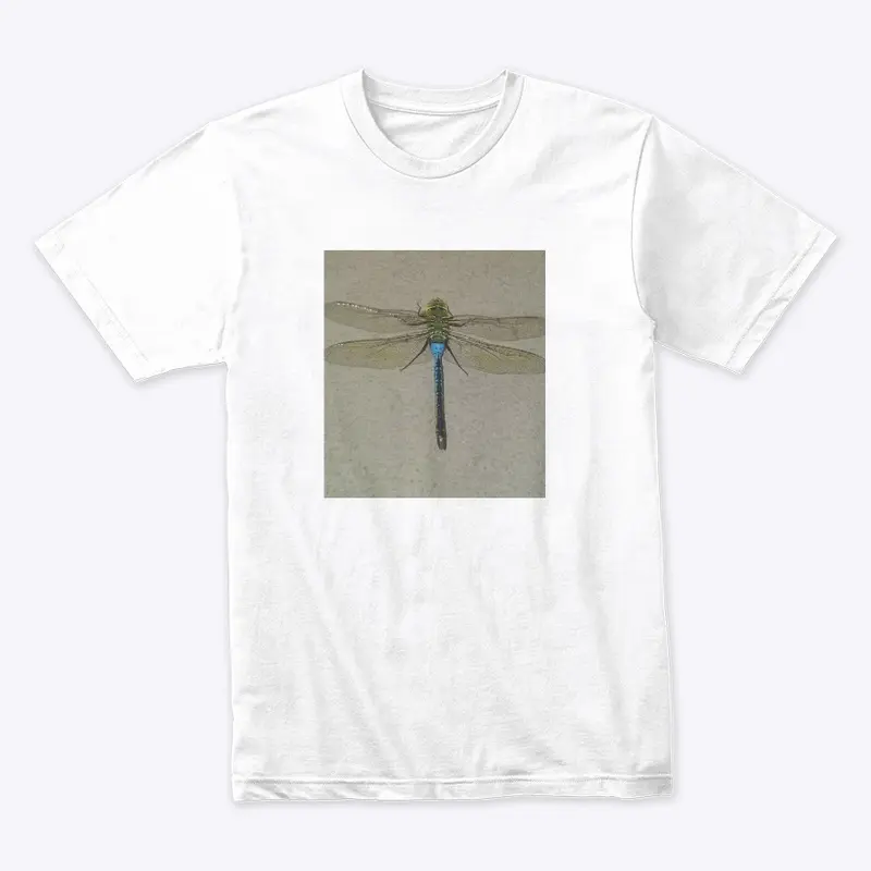 Dragonfly Flyy