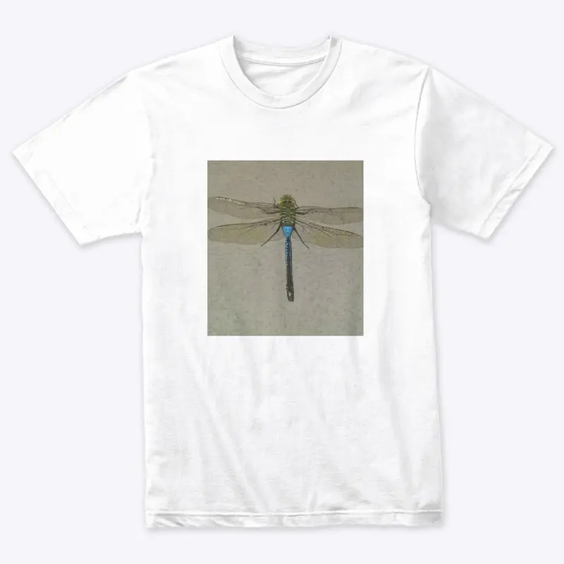 Dragonfly Flyy