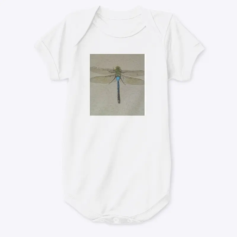 Dragonfly Flyy