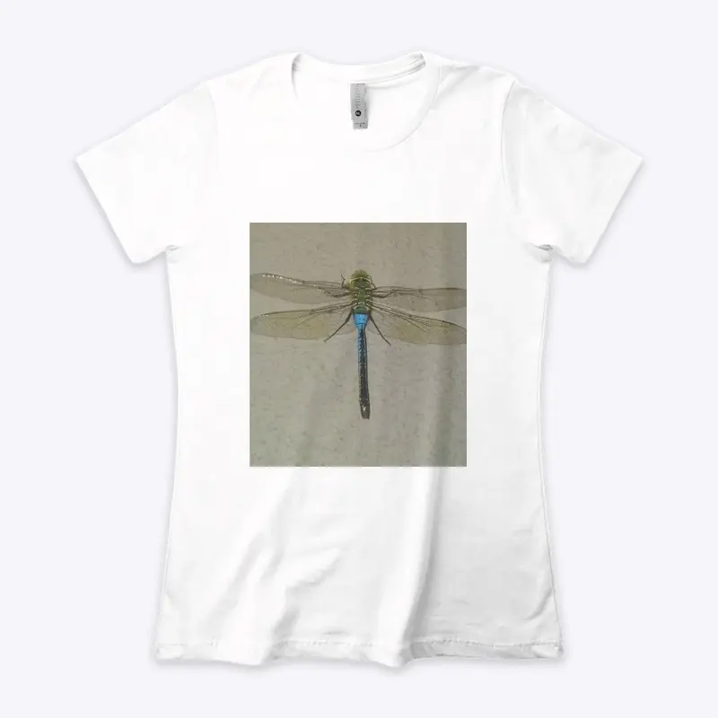 Dragonfly Flyy