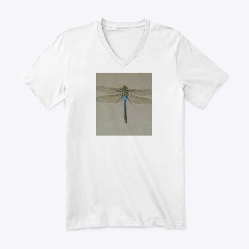 Dragonfly Flyy